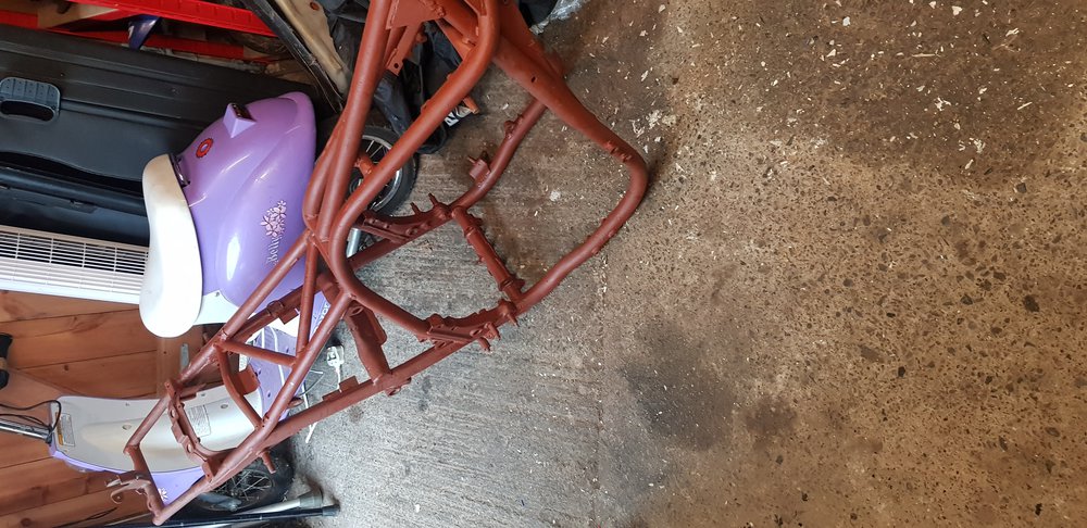 20190610_153331.jpg