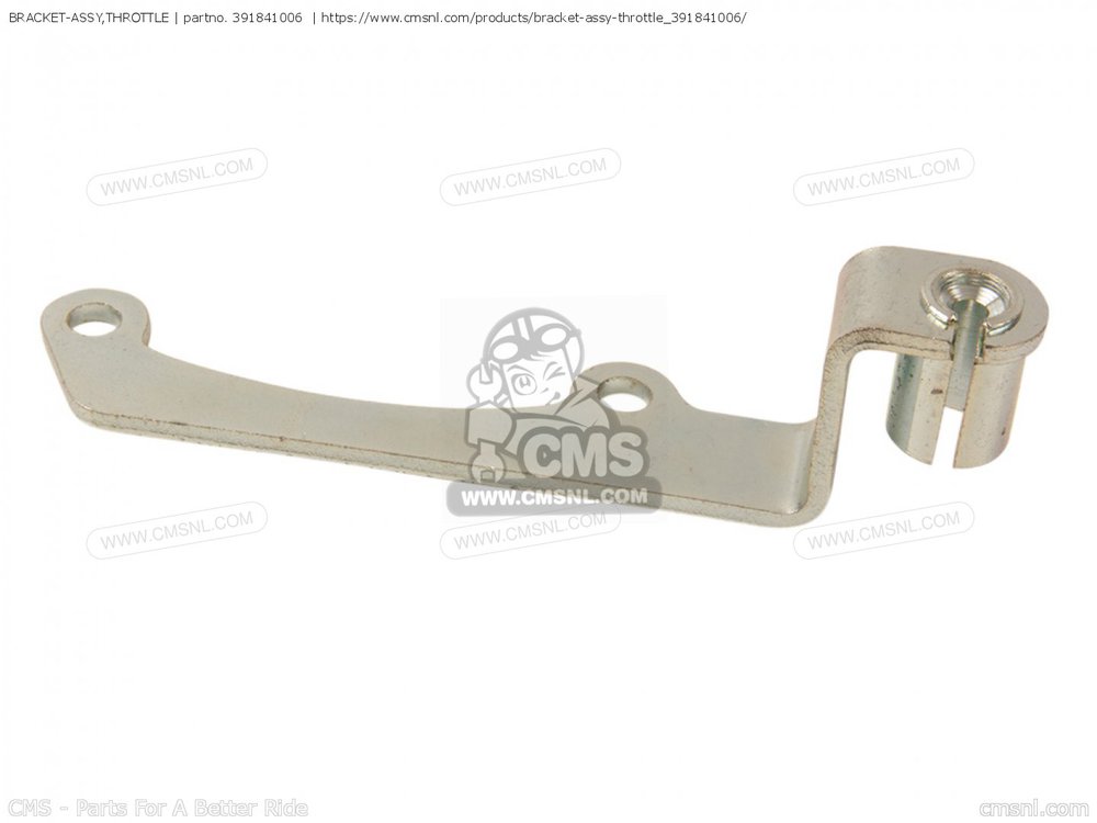 bracket-assythrottle_big391841006-01_833e.jpg