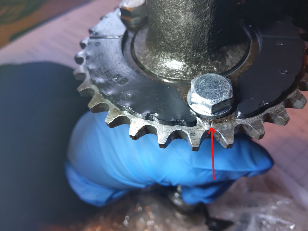 exhaust cam mark_1.jpg