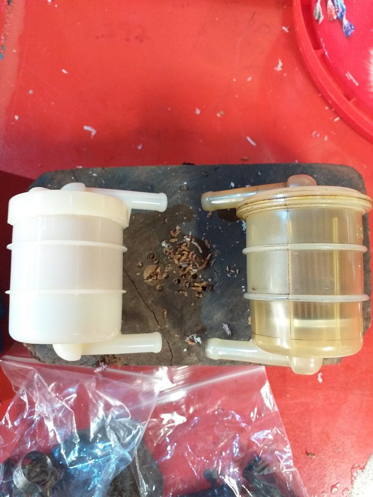 fuel filter.jpg
