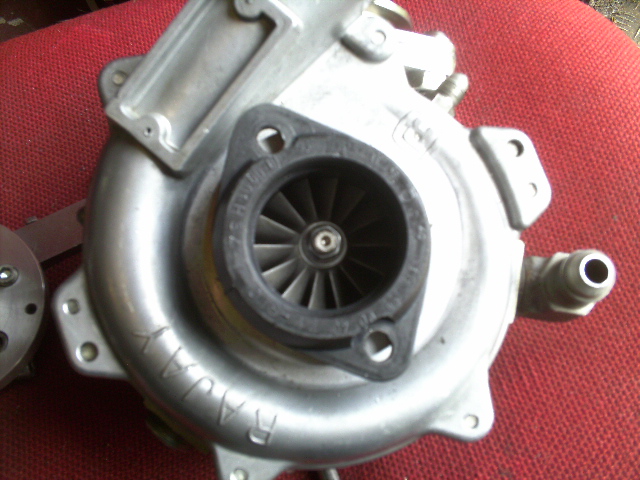 PICT0334.JPG