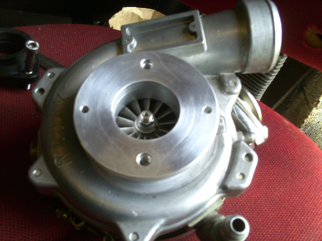 PICT0342.JPG