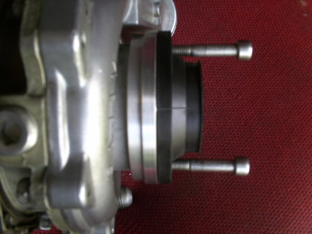 PICT0345.JPG