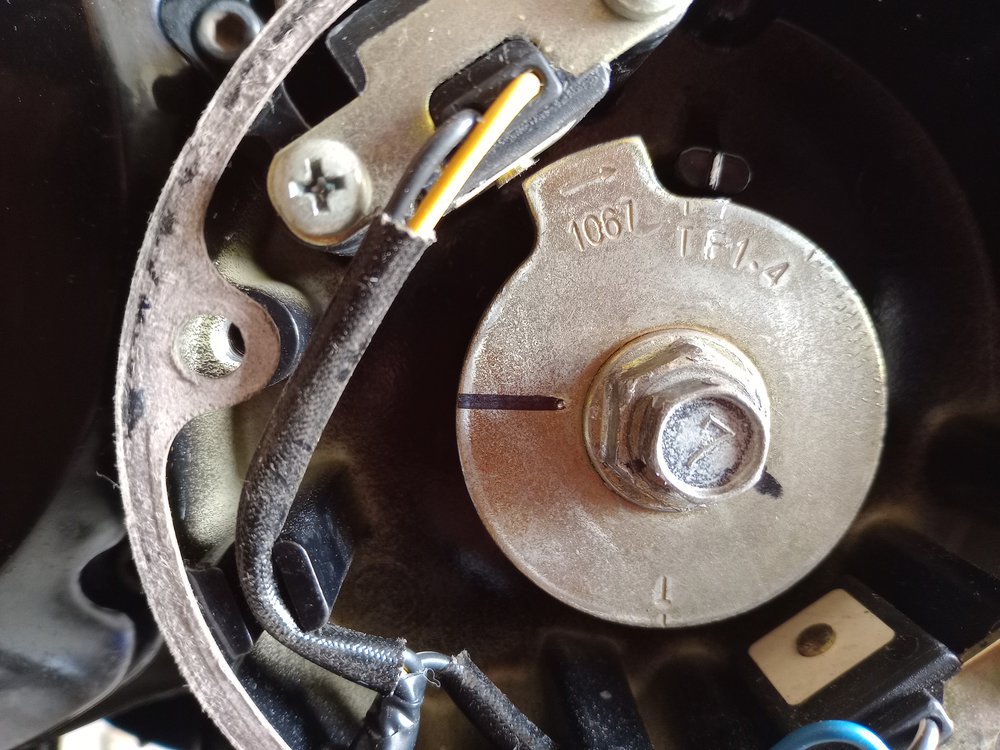2 Timing advancer in situ.jpg