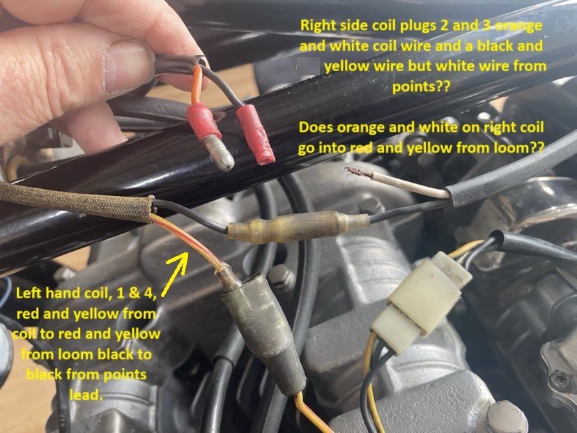 coils.jpg