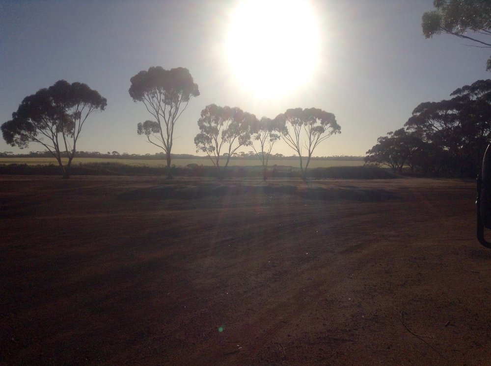 image.jpeg (1.01 MiB) Viewed 8247 times image.jpeg