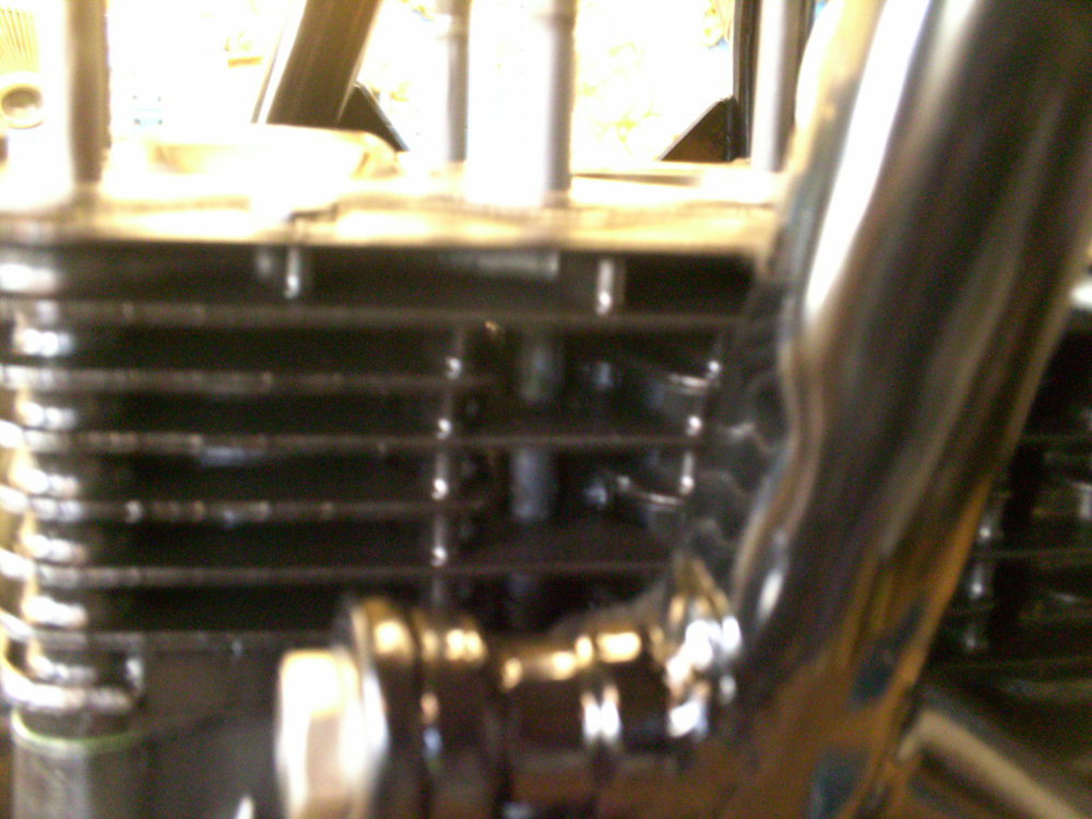 PICT1461.jpg