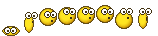 :xbo